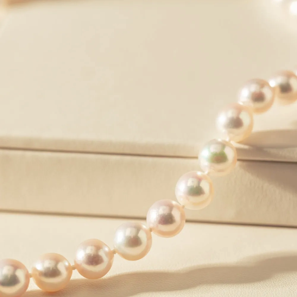 9ct Yellow Gold Akoya Pearl Strand