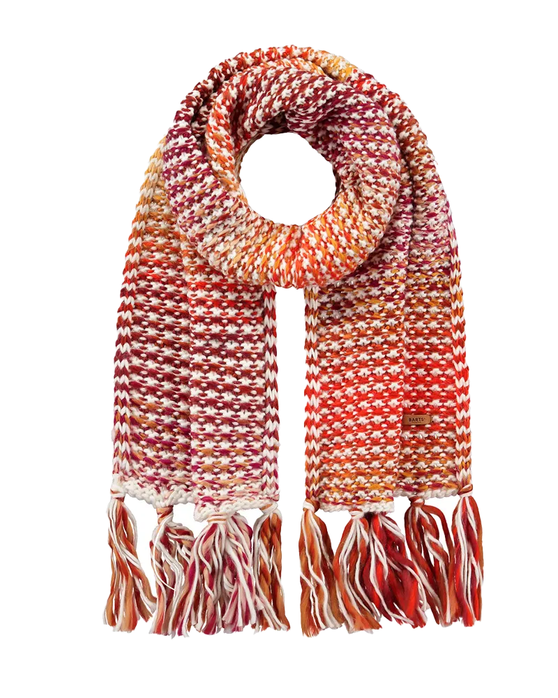Barts Accessories Myonet-Schal in Burgunder