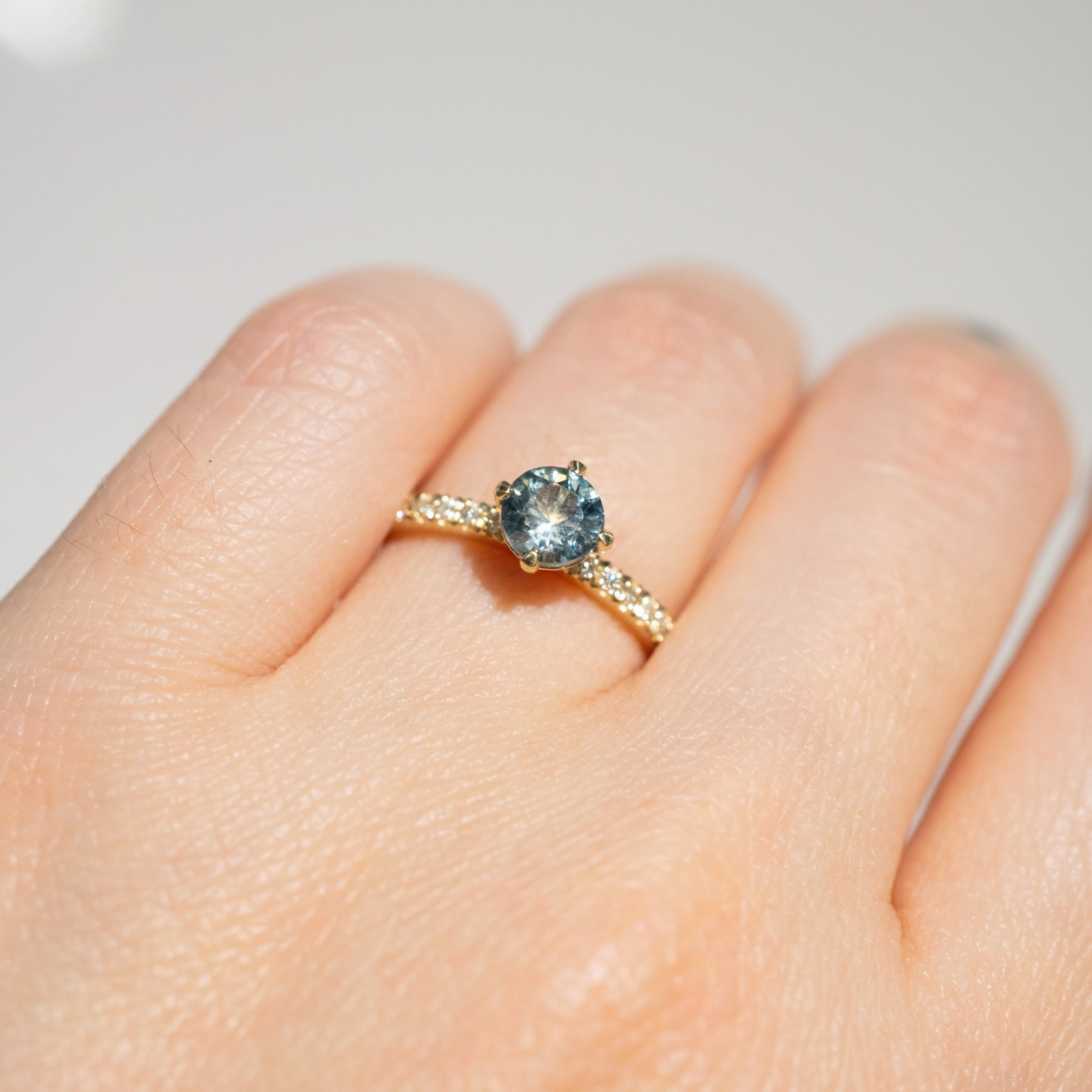 Cardinal Pav Solitaire Ring | Montana Sapphire    Lab Diamonds in 14k Yellow Gold