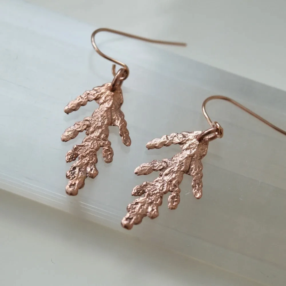 Cedar Drop Earrings