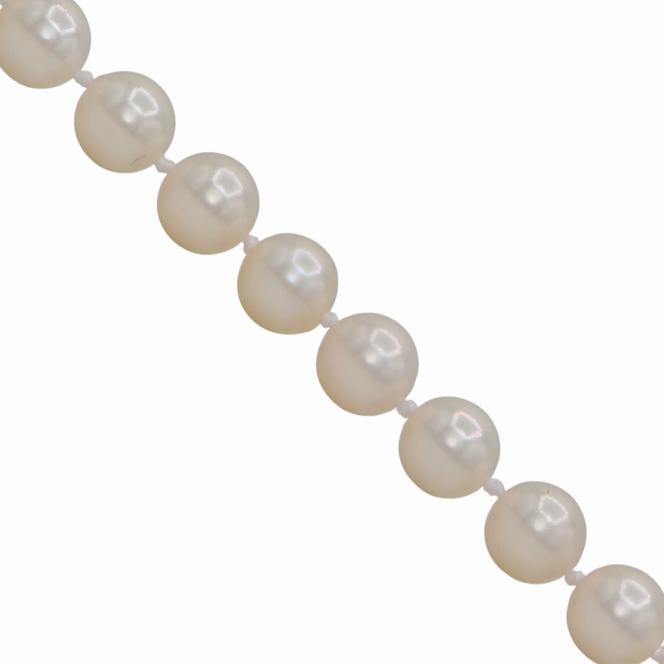 Daisy Exclusive 19&quot; 7.5-8.0mm Single Strand Japanese Cultured Pearl Necklace with 18k Gold Spring Ring Clasp