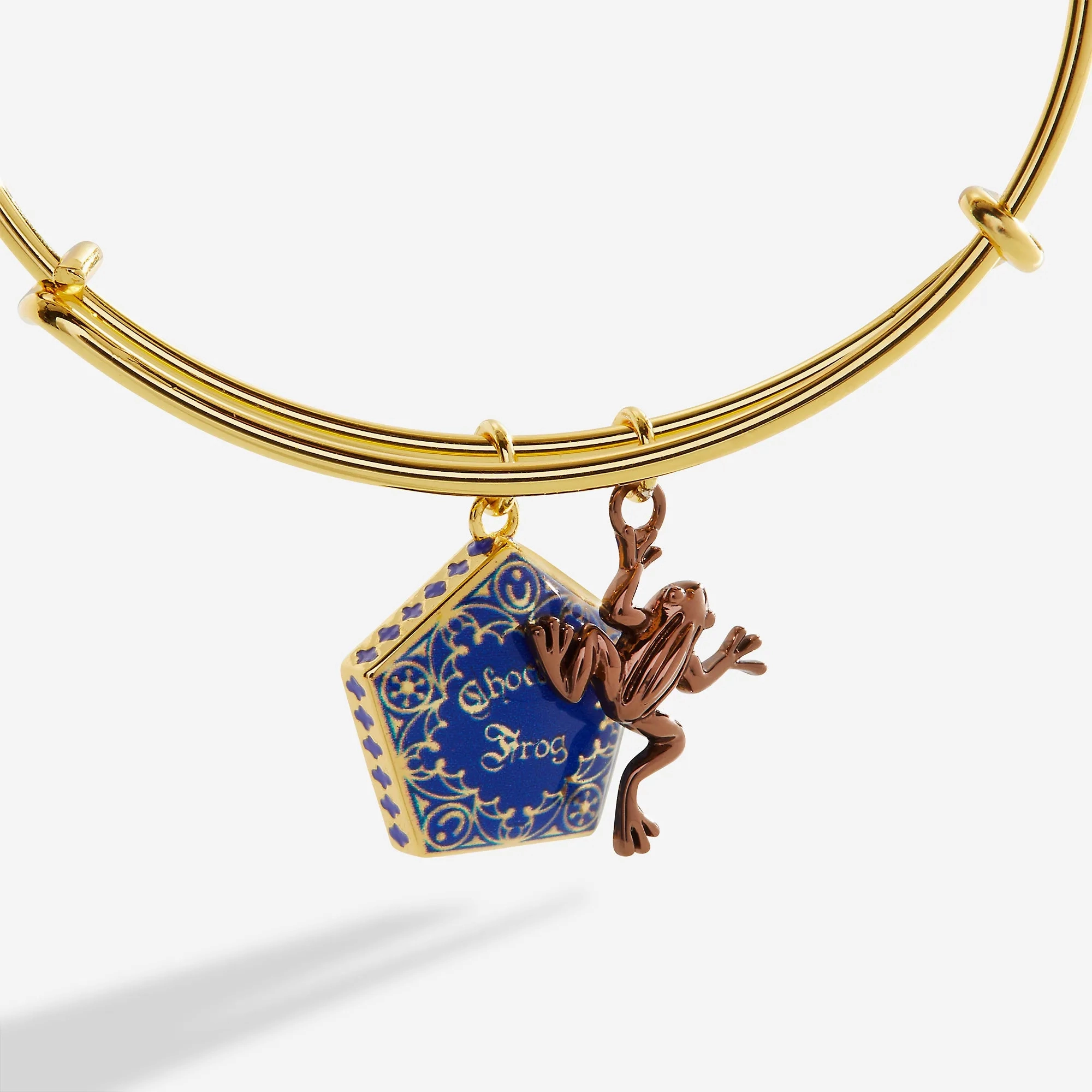Harry Potter? Chocolate Frog Two-Charm Bangle