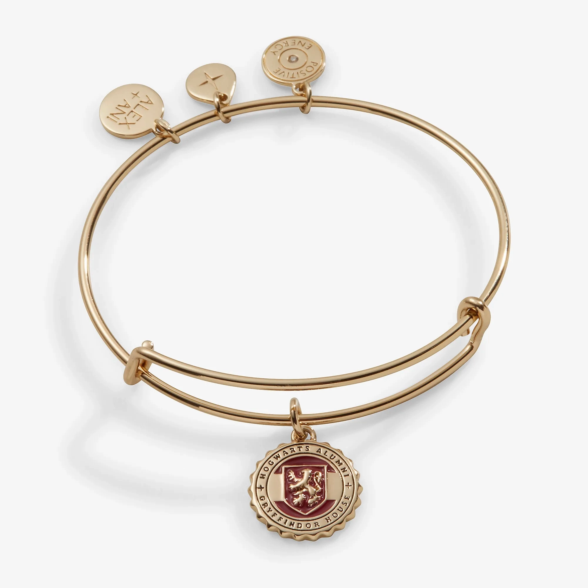 Harry Potter? Gryffindor House Charm Bangle