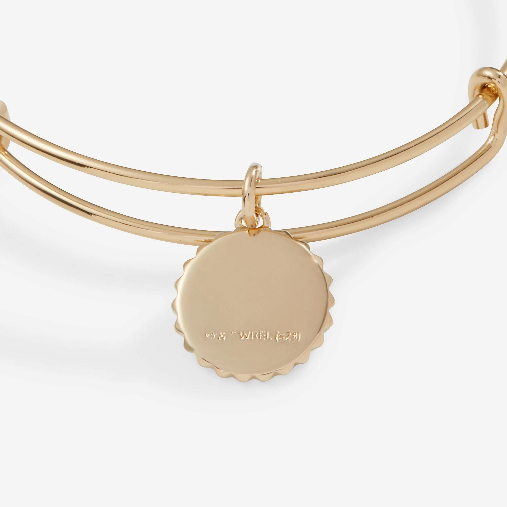 Harry Potter? Gryffindor House Charm Bangle