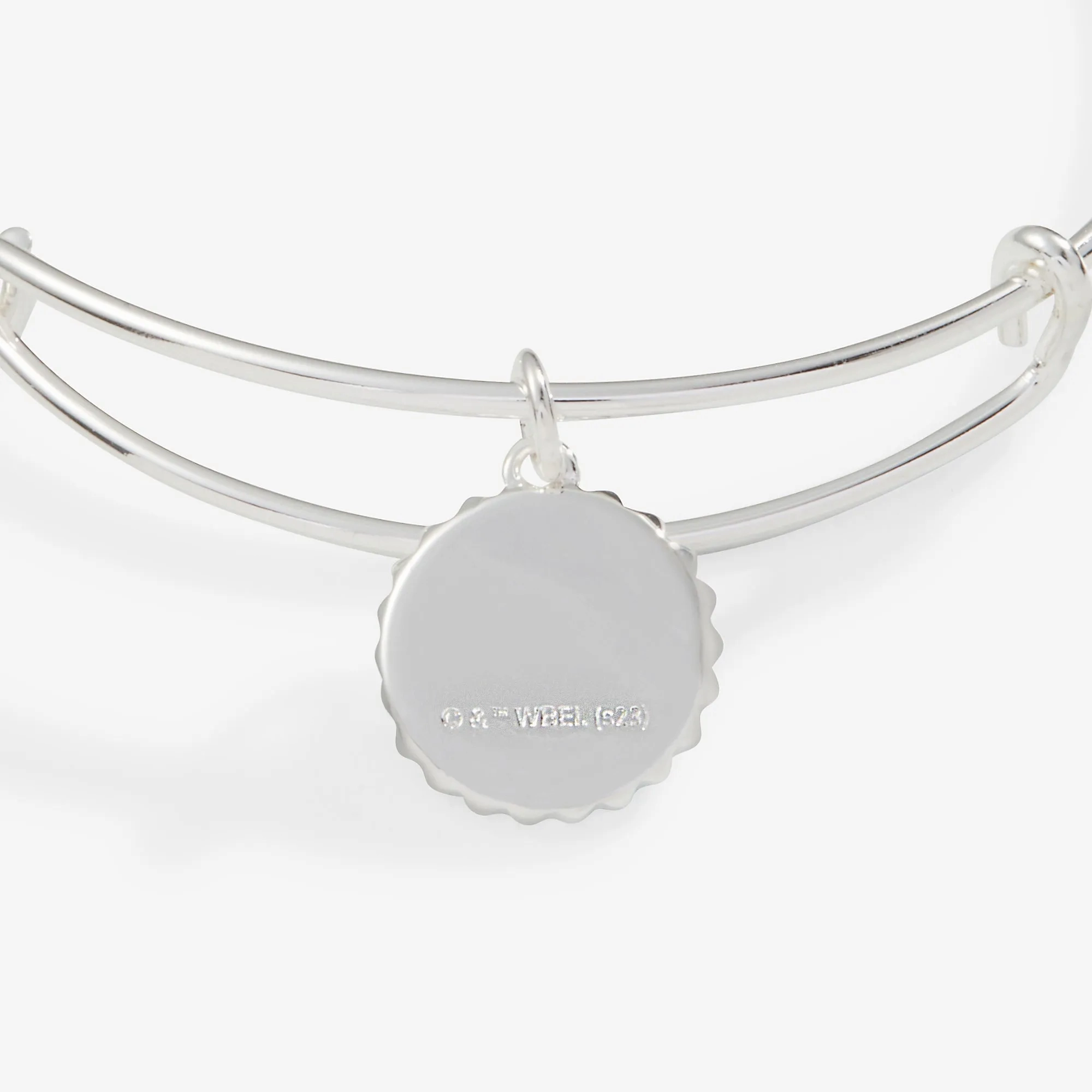 Harry Potter? Slytherin House Charm Bangle