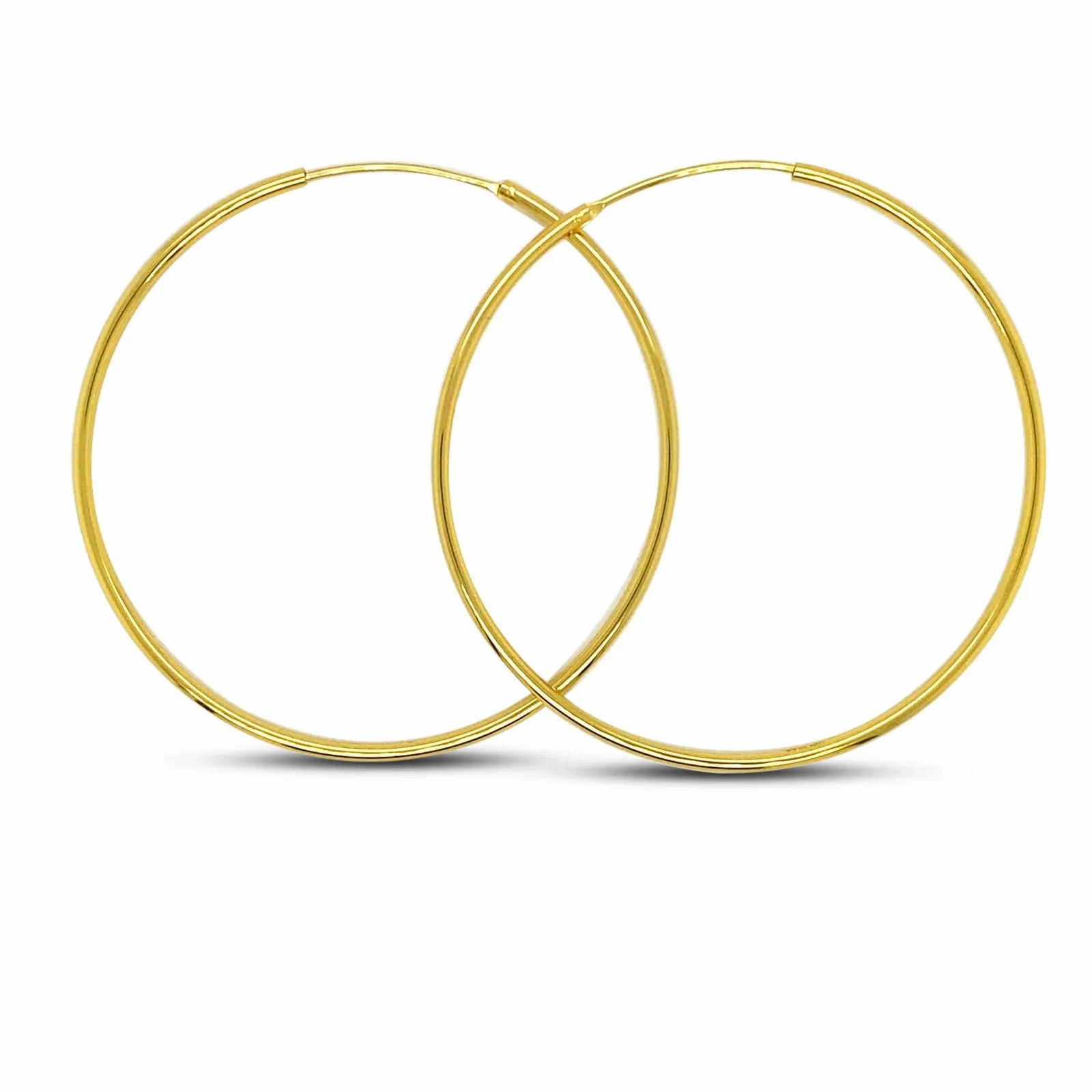 Large Aqua Net Hoops