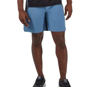 Herren Chubbies Leichte Shorts - Himmelblau / Schwarz