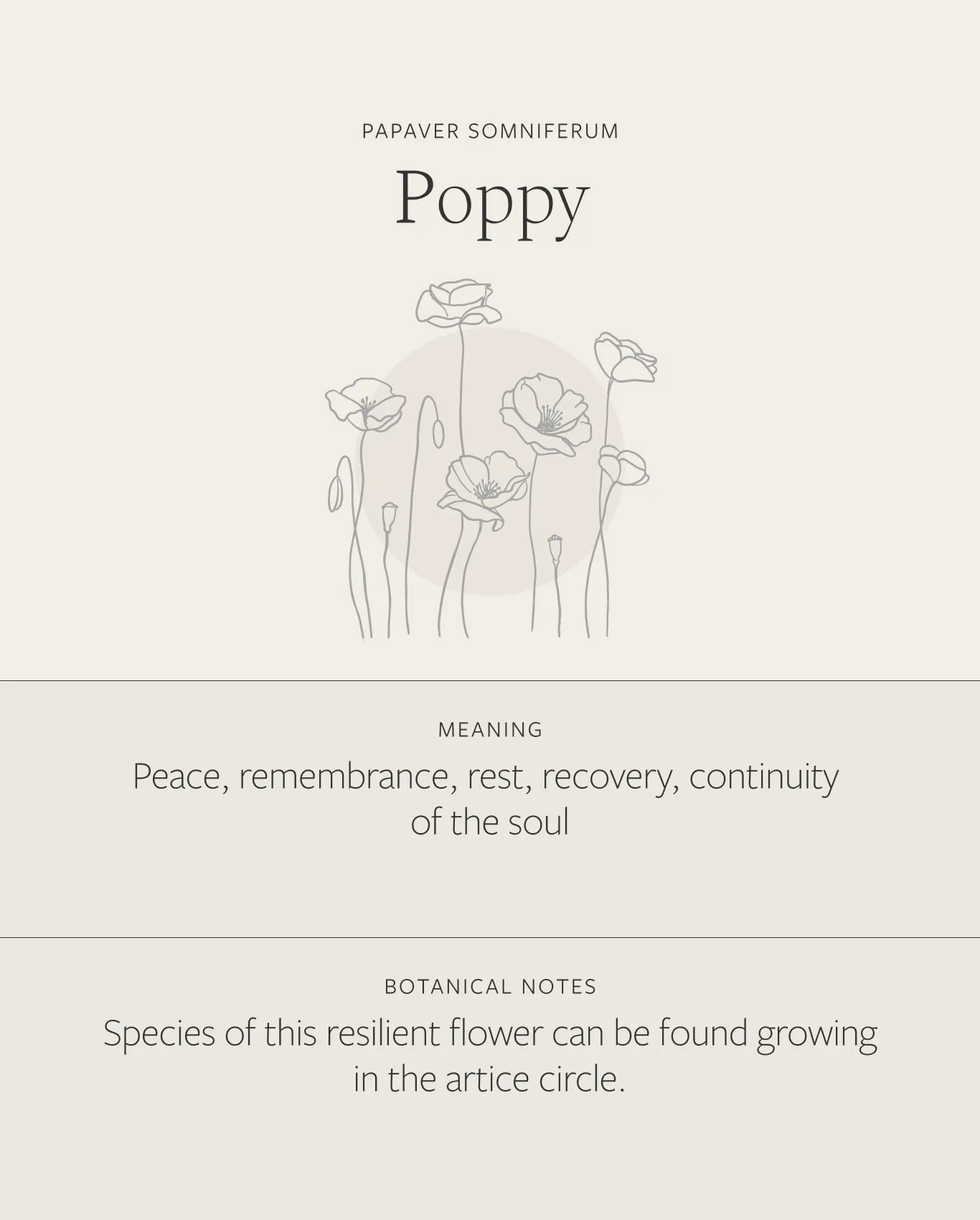 Poppy Necklace