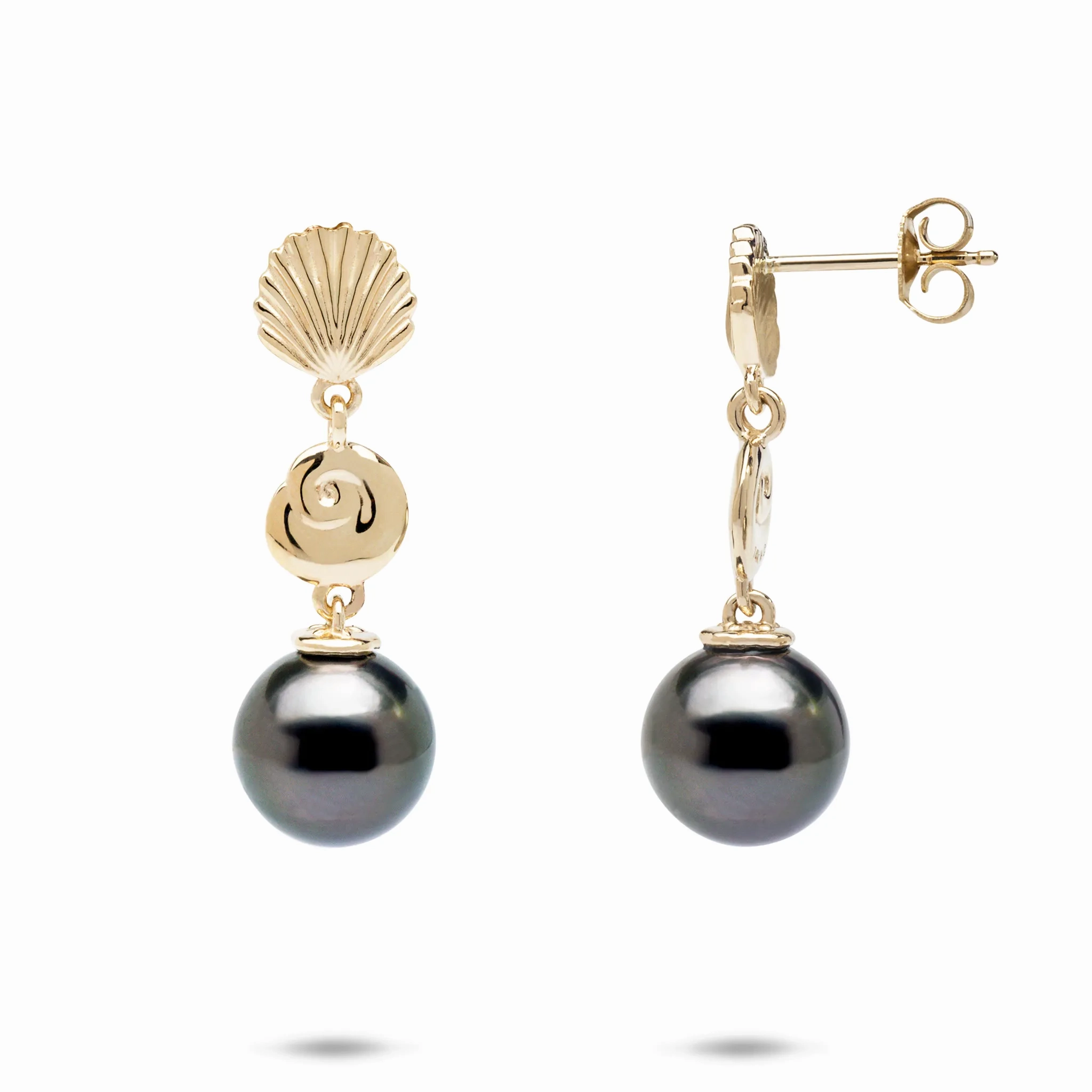Seashells Tahitian Black Pearl Earrings in Gold - 9-10mm