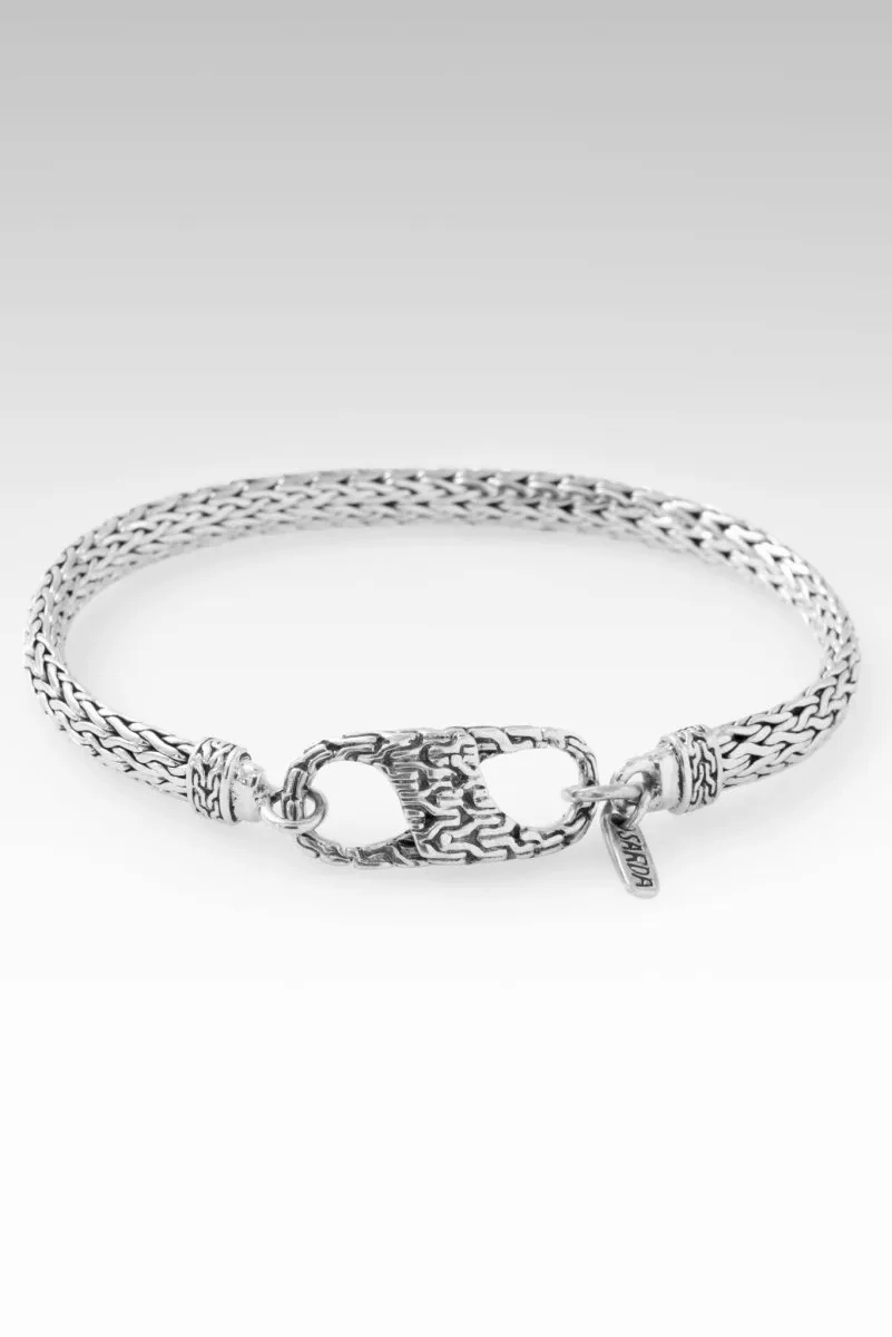 Snake Chain Bracelet? in Chainlink