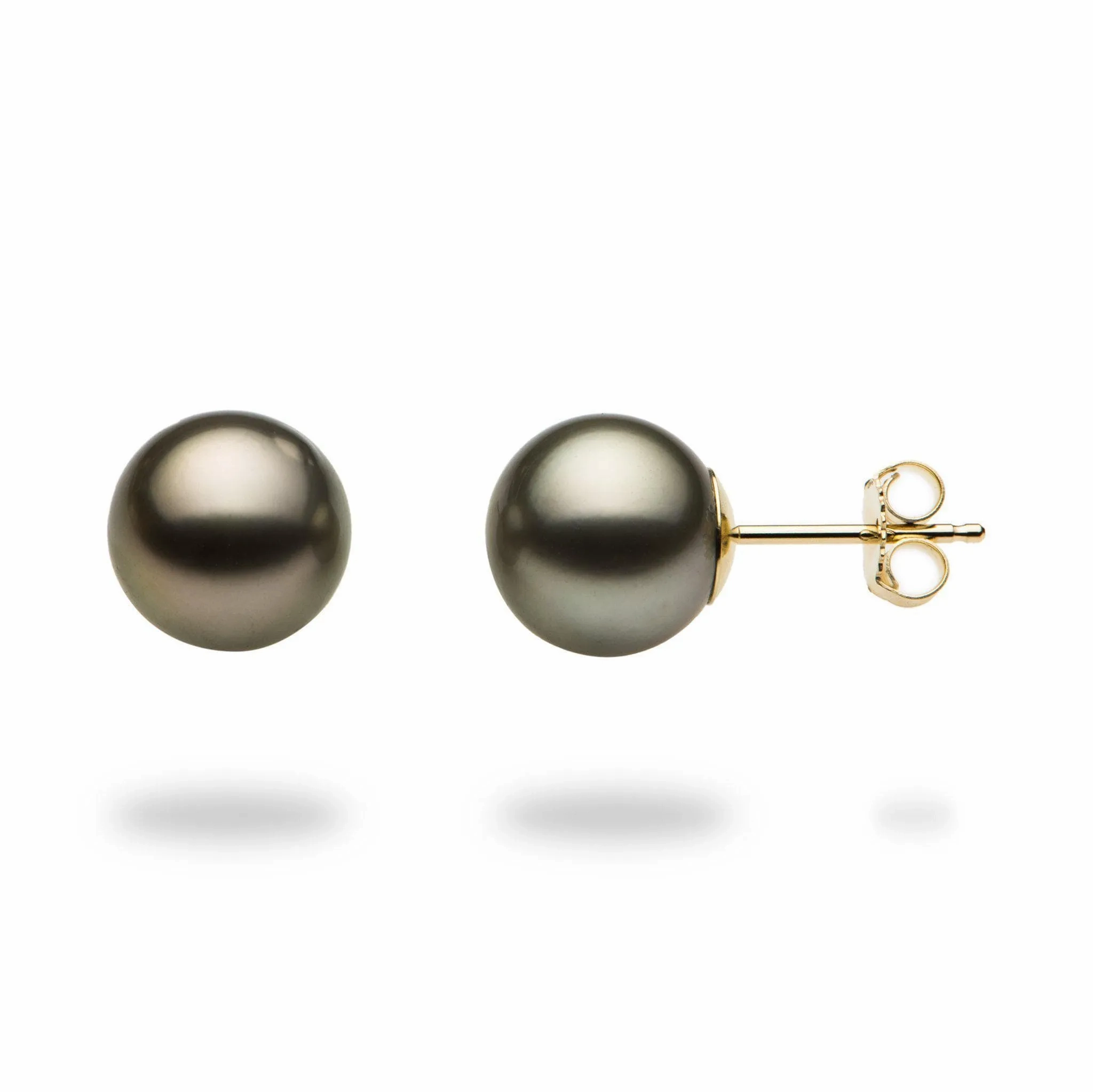 Tahitian Black Pearl Earrings in Gold - 9-10mm