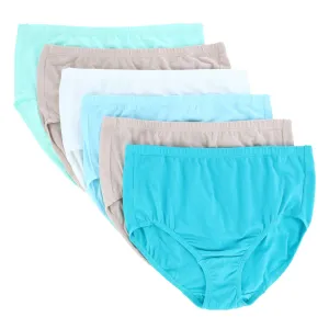 Damen-Baumwoll-Mesh-Slipunterwäsche in Übergrößen (6er Pack)